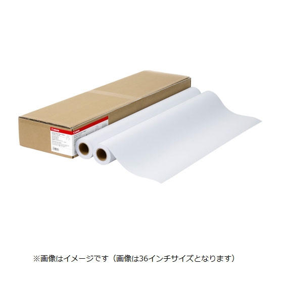 キヤノン LFM-PPS2/A0/64 大判プリンター用ロール紙 スタンダード普通紙2 A0×50m[LFMPPS2A064] 返品種別A