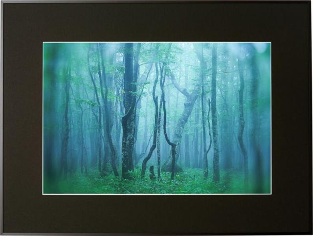 ケンコー AGY-A3N-BK アルミ額縁 ギャラリー A3ノビ（ブラック）Kenko Tokina[AGYA3NBK] 返品種別A