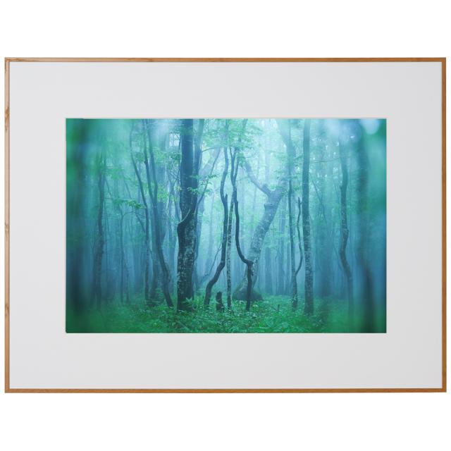 ケンコー AGY-A3N-NA アルミ額縁 ギャラリー A3ノビ（ナチュラル ）Kenko Tokina[AGYA3NNA] 返品種別A