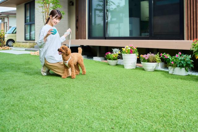 アイリスオーヤマ BP-3025R 防草人工芝 2m×5mIRIS OHYAMA[BP3025R] 返品種別B_6