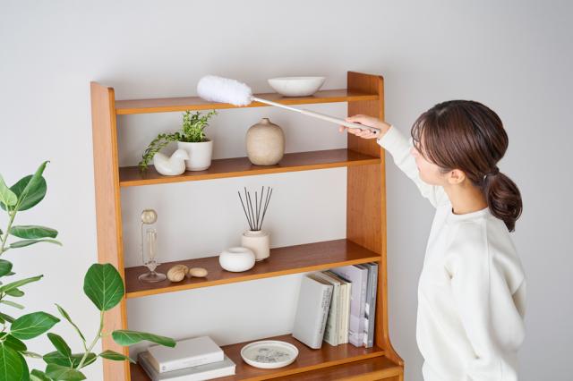 アイリスオーヤマ サイクロン式スティッククリーナー 充電式 自走式