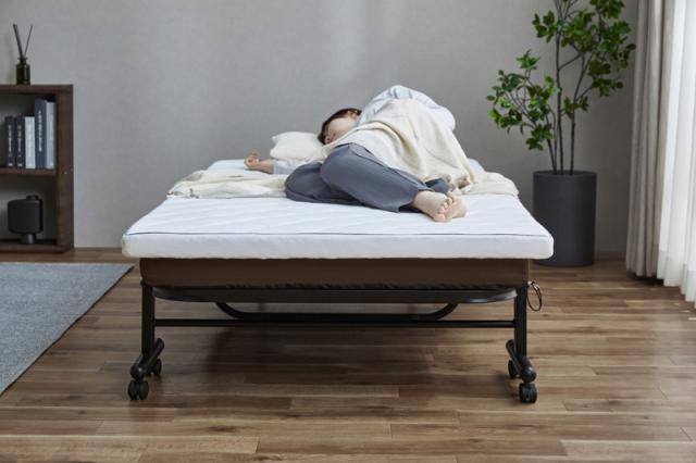 アイリスオーヤマ OTB-BRR 折りたたみベッド 幅945×奥行2000×高さ350mm（ブラウン）IRIS[OTBBRR] 返品種別A_10