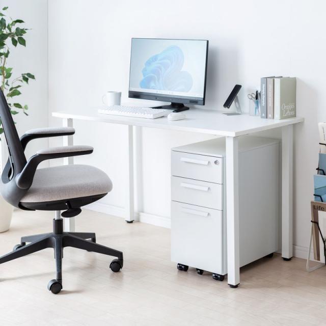 サンワサプライ SNW-107W キャビネット（高さ600mm・奥行き534mm）（ホワイト）[SNW107W] 返品種別A