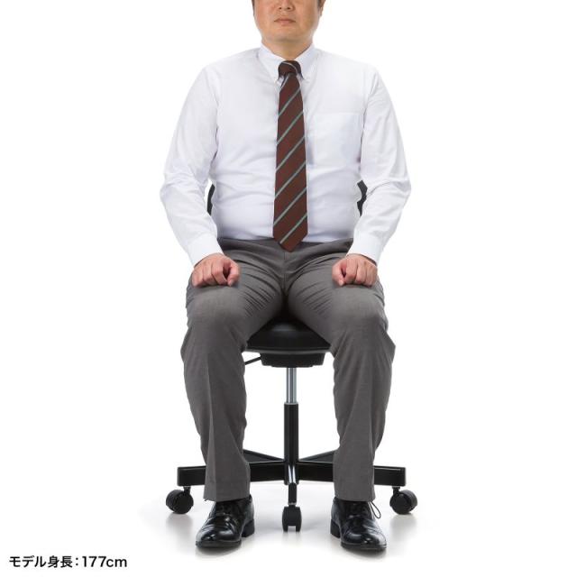 サンワサプライ SNC-D33 導電チェアクリーンルームチェア　導電性　高さ調節　ガス上下調節　背もたれ付[SNCD33] 返品種別A_6