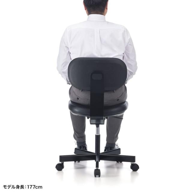 サンワサプライ SNC-D33 導電チェアクリーンルームチェア　導電性　高さ調節　ガス上下調節　背もたれ付[SNCD33] 返品種別A_7