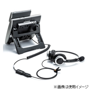 サンワサプライ MM-HSRJ01 電話用ヘッドセット（両耳タイプ）[MMHSRJ01] 返品種別A