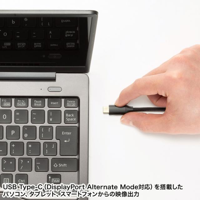サンワサプライ VGA-EXHDC USB Type C-HDMI変換エクステンダー(4K対応）[VGAEXHDC] 返品種別A_13