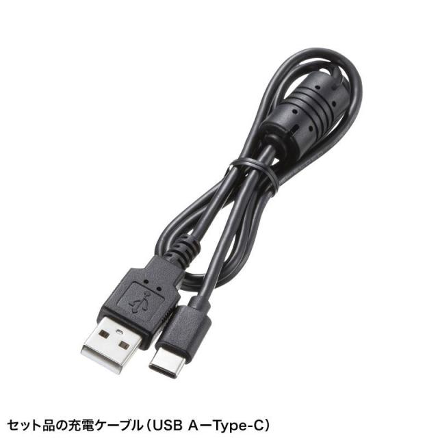 サンワサプライ CMS-ES01SET-1 工業用内視鏡[CMSES01SET1] 返品種別A