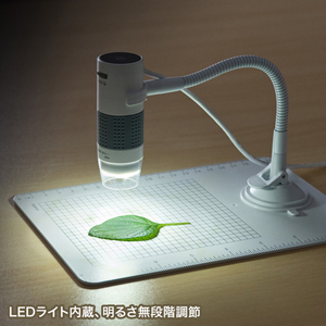 サンワサプライ LPE-07W USB顕微鏡[LPE07W] 返品種別A