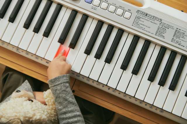 割引品CASIO(カシオ) 61鍵盤 電子キーボード LK-312 鍵盤楽器
