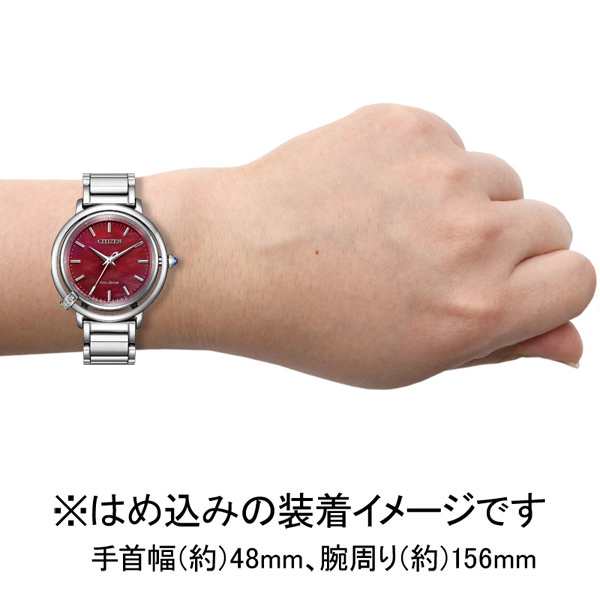 CITIZEN EM-1090-78X 未使用 エコドライブ （CITIZEN L シチズン