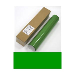 Roland DG DGS-305-GR 塩ビシート(305mm幅×10m・光沢タイプ・緑)[DGS305GR] 返品種別A 9,098円