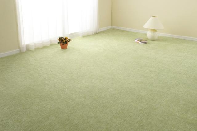 HAGIHARA(萩原) ラウムE8GR ペットにやさしい平織カーペット　ラウム　江戸間8帖（352×352cm・グリーン）[ラウムE8GR] 返品種別A