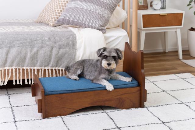 東谷 PET-69BR ペットベッド（ブラウン）[PET69BR] 返品種別A