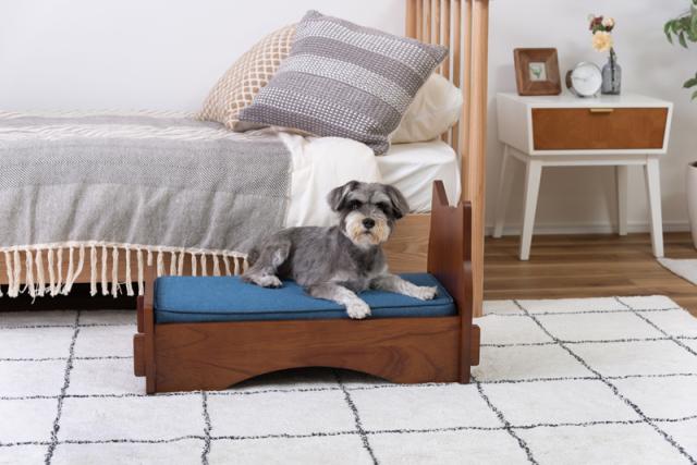 東谷 PET-69BR ペットベッド（ブラウン）[PET69BR] 返品種別A_7