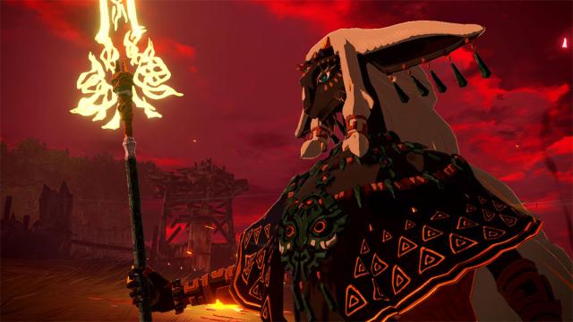 【Switch2】ゼルダ無双 封印戦記　通常版 返品種別B_10