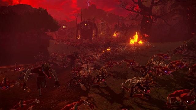 【Switch2】ゼルダ無双 封印戦記　通常版 返品種別B_11