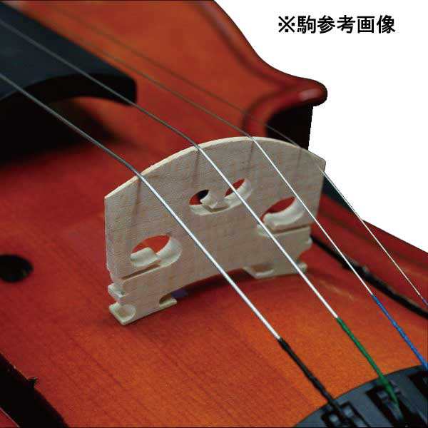 ステンター SV-120-1/4 キッズ向けバイオリン(1/4サイズ)STENTOR[SV12014] 返品種別Aの通販は