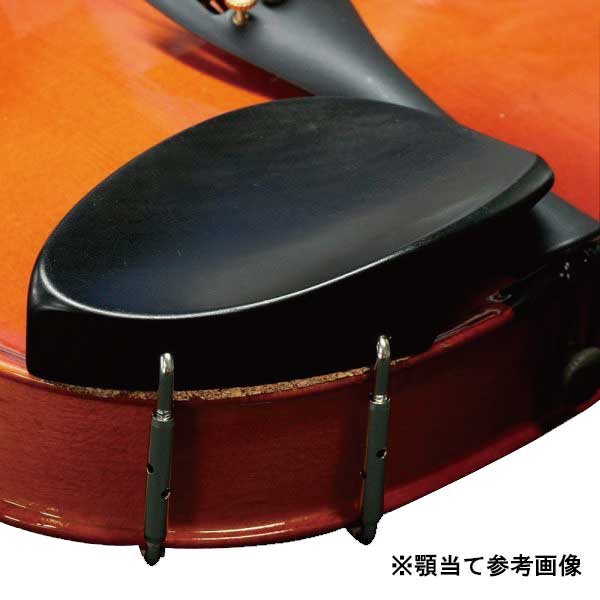 ステンター SV-120-1/8 キッズ向けバイオリン(1/8サイズ)STENTOR