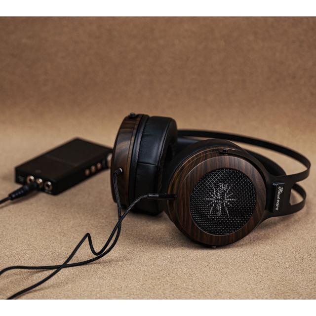 Kiwi Ears KWI040 ダイナミック密閉型ヘッドホン（ブラックウッド）Altruva - BlackWood[KWI040] 返品種別A_8