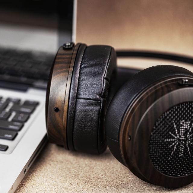 Kiwi Ears KWI040 ダイナミック密閉型ヘッドホン（ブラックウッド）Altruva - BlackWood[KWI040] 返品種別A_11
