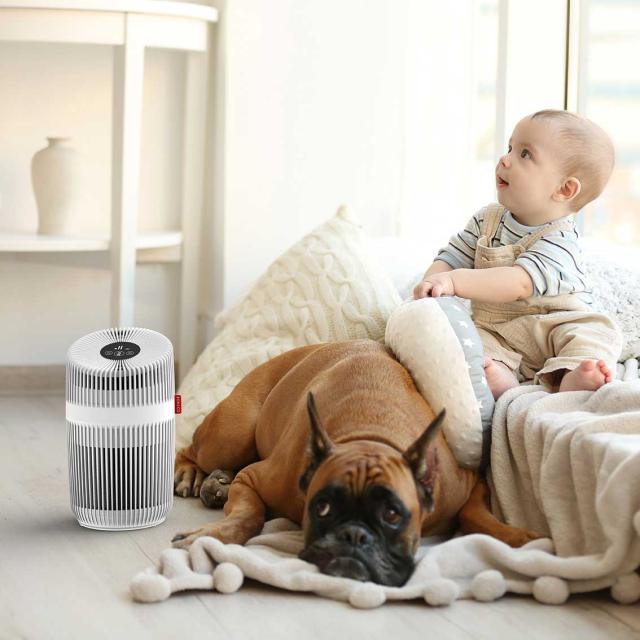 ボネコ P230 空気清浄機（14畳まで）BONECO P230 AIR PURIFIER[P230