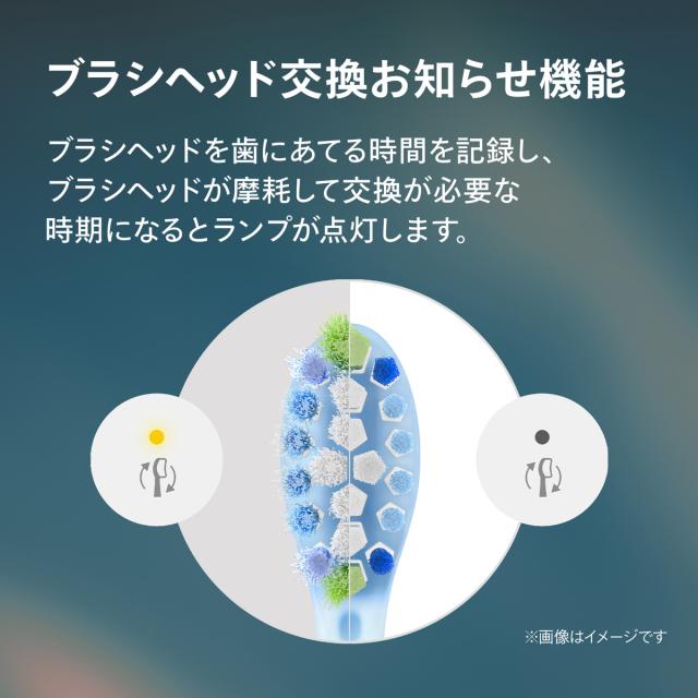 フィリップス HX7101/06 電動歯ブラシ（ブラック）Philips Sonicare