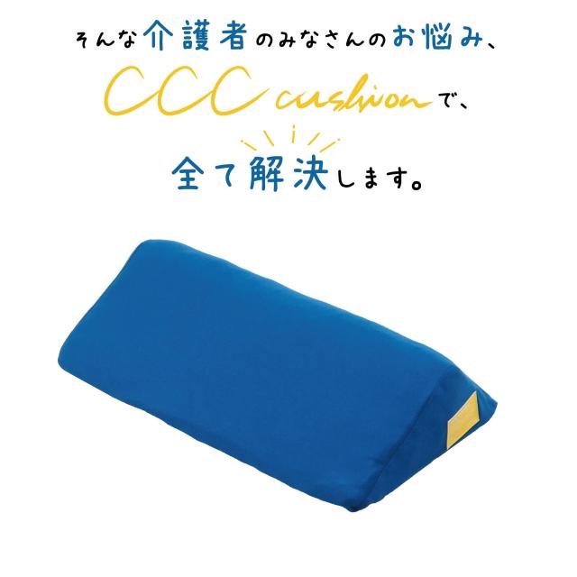 挙げ句のはて− CCCcushionさんかく座蒲団 返品カテゴリー化A