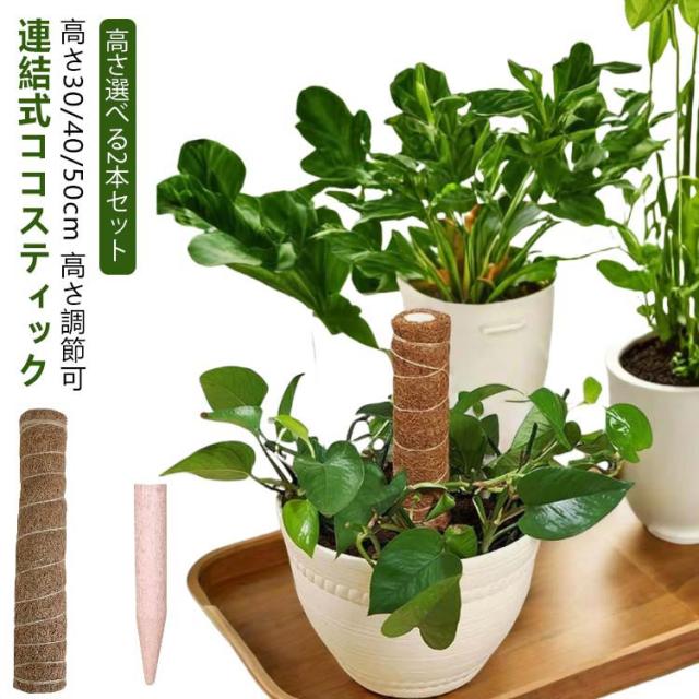 園芸支柱 つる性植物 植物サポート 2本入 トマト ココスティック 支柱 2本入 観葉植物 ガーデニング用 花ささえ ココナッツ支柱 連結式 植物 支柱 ポトス 支柱 園芸用 園芸支柱パーツ 高さ調整可能 ココナッツ モンステラ支柱 植物成長