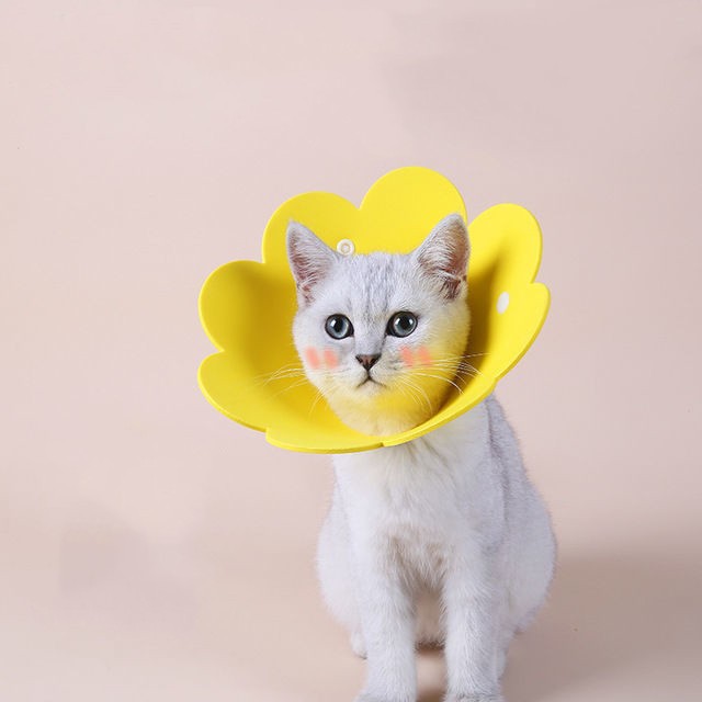 SALE／87%OFF】 エリザベスカラー Sサイズ 猫 ネコ 軽量 ソフト ストレス軽減 黄 舐め防止