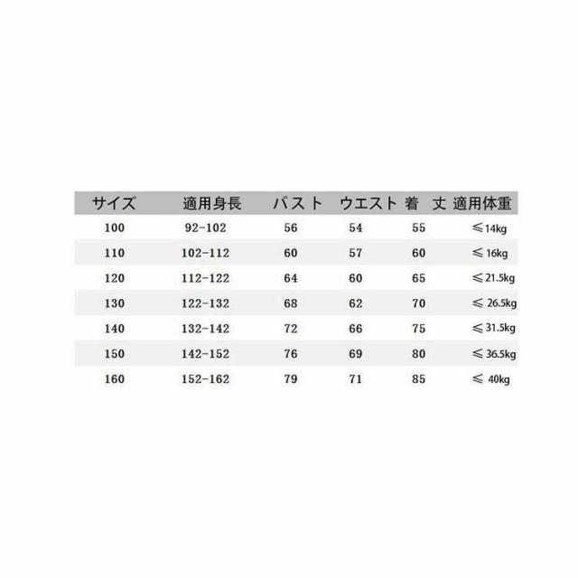 ドレス 女の子 発表会 結婚式 子ども レースワンピース お呼ばれ/ピアノ演奏会 子供 花刺繍柄 キッズ プリンセス ドレス_1