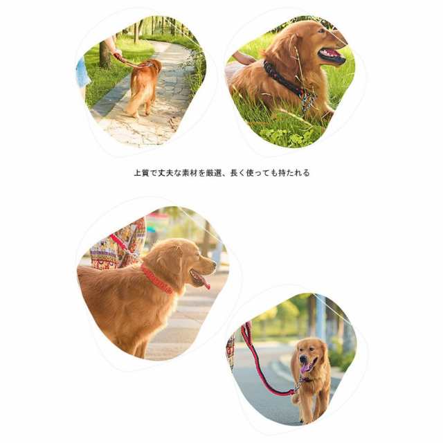 犬用 首輪 リード ２点セット 牽引ロープ ペット用品 大型犬 中型犬