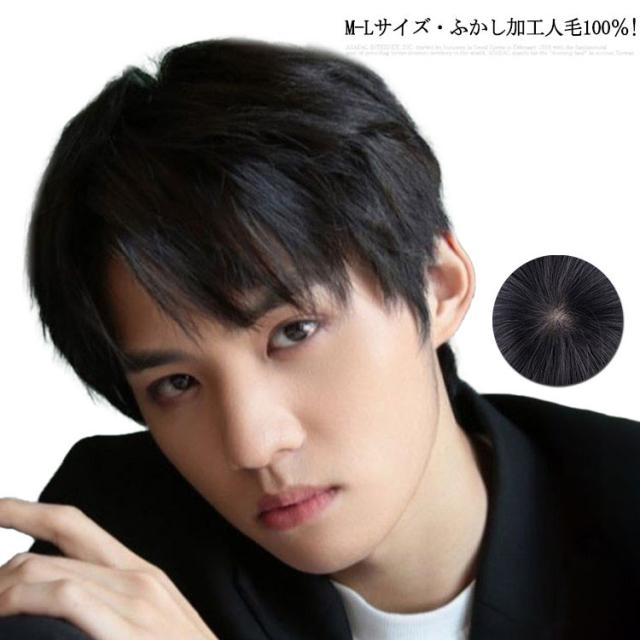 人毛100％! メンズウィッグ 男性用かつら メンズウイッグ 医療用ウィッグ ウィッグ メンズ ショート フルウィッグ 自然  黒髪 かつら フェザーショート スタンダードブラック ナチュラル 薄毛  白髪隠し 医療用 かつら 女性 男性 仮装の通販は 5,345円
