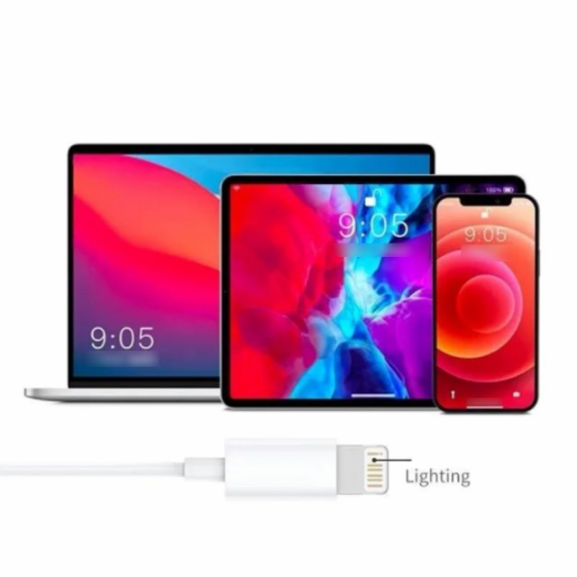 Bluetooth不要・直接接続! iPhone アップル イヤホン 有線 Lightning Apple 有線イヤホン 送料無料 iPhone  12mini 12 12Pro 11P 11Pro 11の通販はau PAY マーケット - Lady Smile