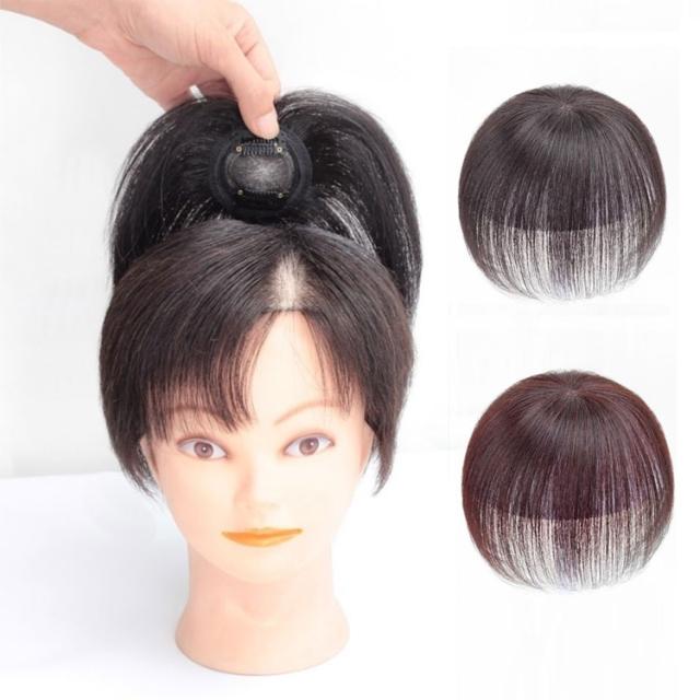 送料無料 ウィッグ 部分ウィッグ 人毛100％ 白髪隠し 長15cm