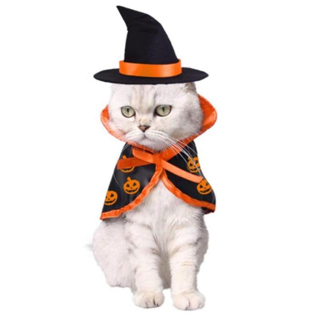 猫魔女 コスプレ チェシャ猫 コスプレ 黒猫 ハロウィン衣 ホビー・コスプレ