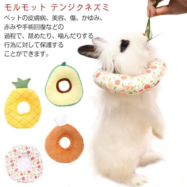 ペット うさぎ エリザベスカラー 猫 ねこ ネコ 小型犬 かわいい