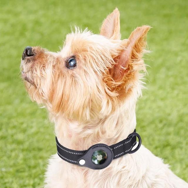 愛犬をおしゃれに追跡★Kate Spade★首輪にシリコンAirTagケース 愛犬をおしゃれに追跡☆Kate Spade☆首輪にシリコンAirTagケース