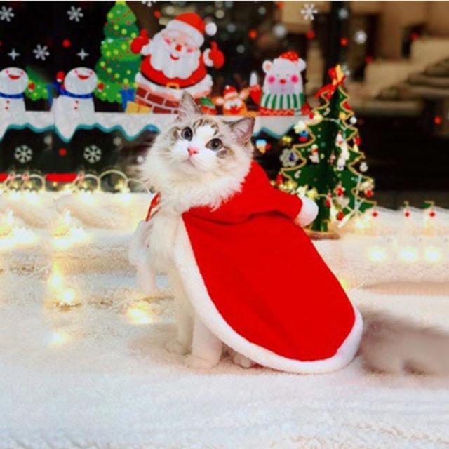 クリスマスマント　犬用 Amazon | 犬用クリスマス服 犬服 クリスマス コスプレ ペット