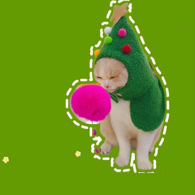犬猫の服⭐️トナカイ&マント　セット服 クリスマス猫 犬 帽子マント カチューシャ Amazon | ペット服 クリスマス 4点セット 猫 犬 帽子 マフラー