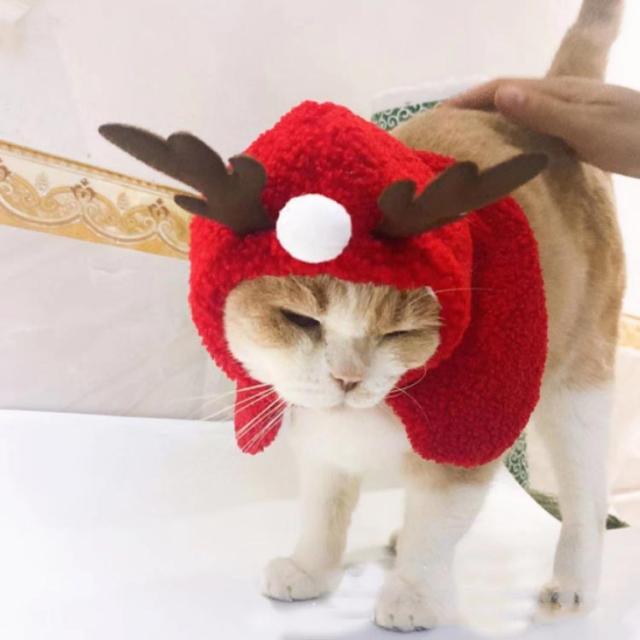 犬猫の服⭐️トナカイ&マント　セット服 クリスマス猫 犬 帽子マント カチューシャ トナカイ ケープ ポンチョ トナカイ マント 犬用 猫用 マント