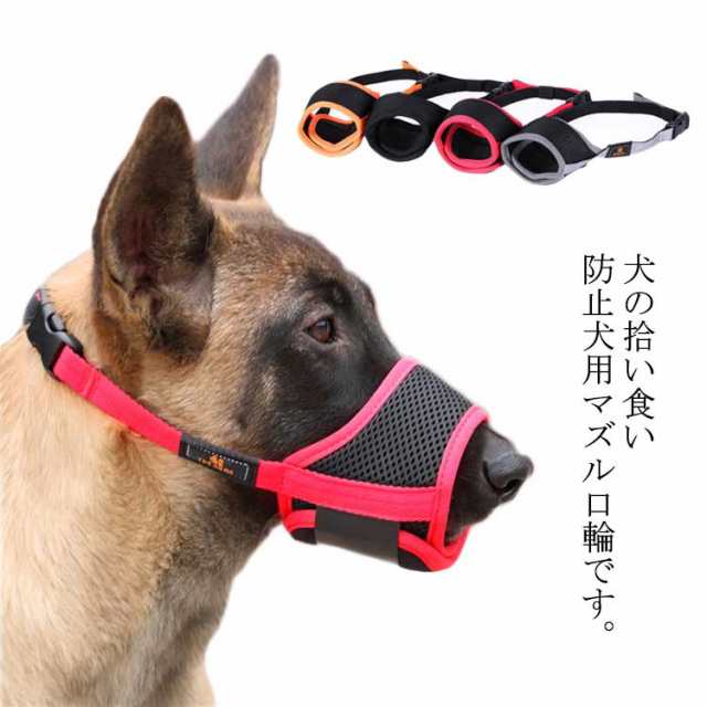 PetSafe バークコントロール 室内用 犬 無駄吠え防止グッズ 犬に優しい