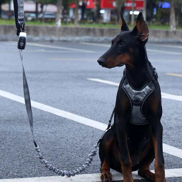 リード 犬 ハンズフリー 腰に巻ける 肩掛け 犬リード 大型犬 中型犬