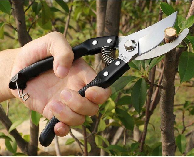 剪定鋏 剪定はさみ 剪定ハサミ 枝切 小枝 生け花 切り花 ガーデニング鋏 軽量 高強度合金 家庭用 家庭菜園 園芸用 ハサミ 園芸用はさみ の通販はau Pay マーケット Linelife