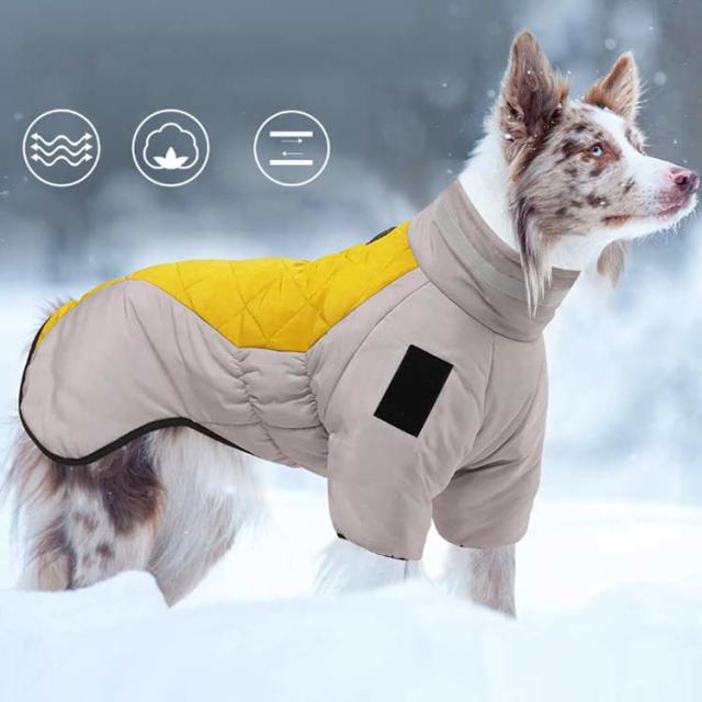 犬用 XL-6XL！ 中型犬 配色 XL-6XL！ 背中開き ドッグウェア 大型犬