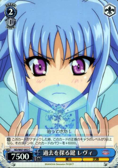 ヴァイスシュヴァルツ 魔法少女リリカルなのは Detonation 過去