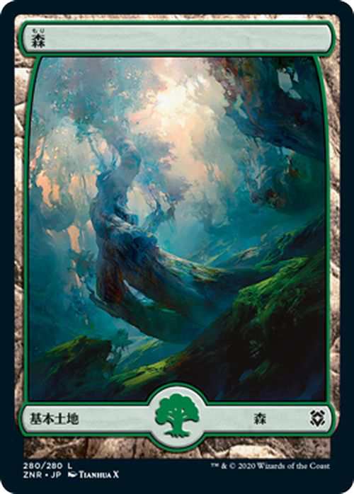 MTG マジック：ザ・ギャザリング ギャザ 森 基本土地 ゼンディカーの