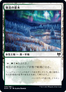 Mtg マジック ザ ギャザリング 極北の並木 基本土地 カルドハイム Khm 249 日本語版 氷雪土地 土地の通販はau Pay マーケット カードミュージアム