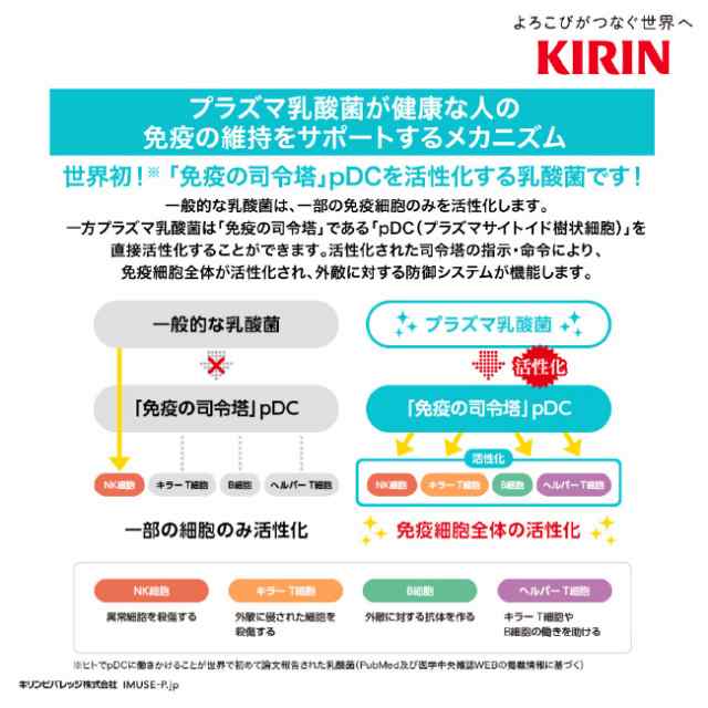 キリンビバレッジ キリン 生茶 免疫ケア 525ml PET 〔機能性表示食品〕 ペットボトル×48本 計2ケース 送料無料 / の通販はau PAY  マーケット - 酒宝庫 MASHIMO au PAY マーケット店