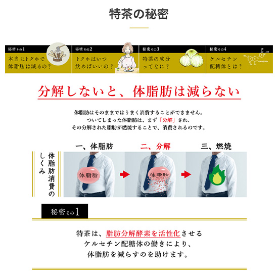 特茶 サントリー 伊右衛門 特茶 1000ml×12本入 ペット 2ケースセット 計24本 送料無料_2